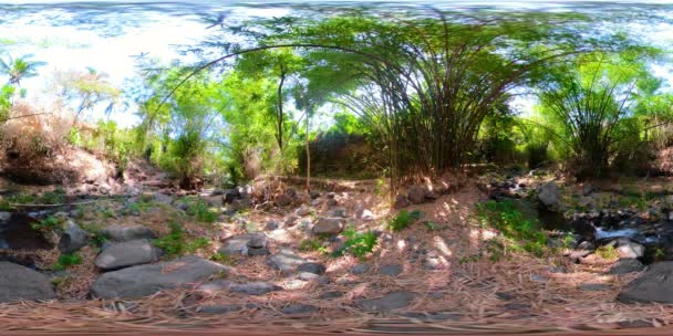 Río en la selva en Asia vr360 — Vídeo de stock