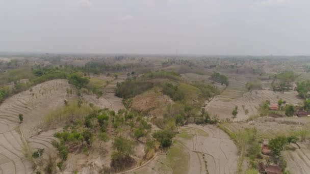 Paisaje agrícola en indonesia. — Vídeos de Stock