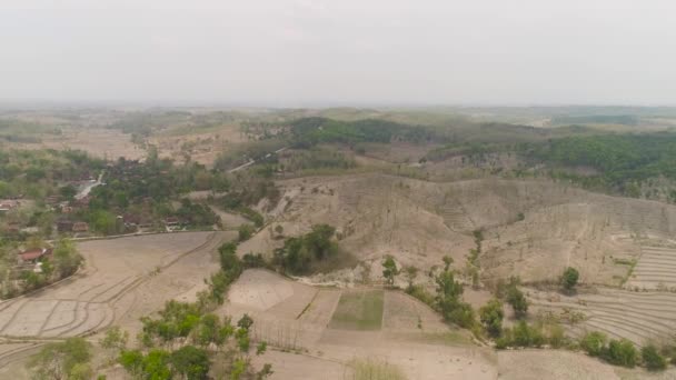 Paysage agricole en indonésie.