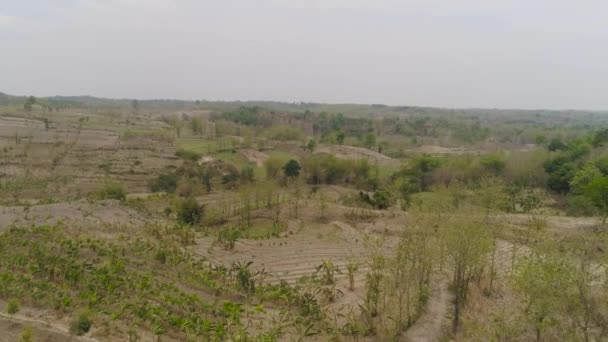 Paisaje agrícola en indonesia. — Vídeos de Stock