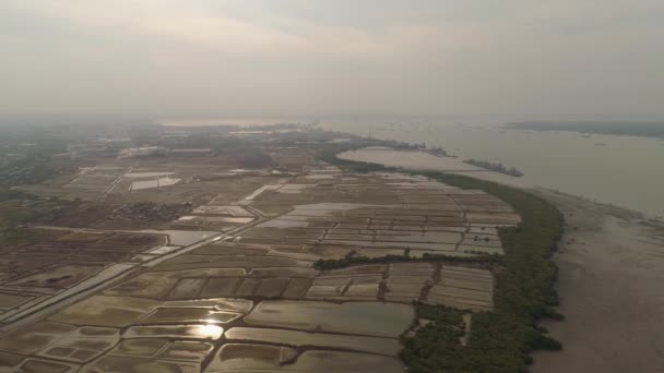 Estanques de peces en surabaya, java, indonesia — Vídeo de stock