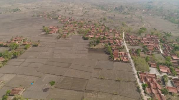 Paisagem agrícola em indonésia. — Vídeo de Stock