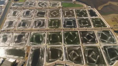 Endonezya 'da karides yetiştiriciliği