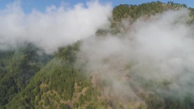 Filipinler 'deki Dağ Bölgesi.