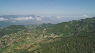 Filipinler 'de bir dağ ilinde tarım arazisi, Luzon