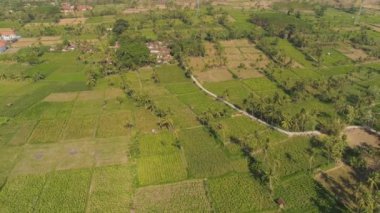 Endonezya 'da tarım arazisi