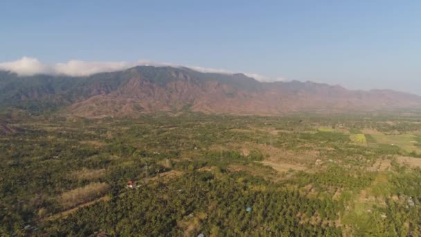 Landwirtschaftliche Flächen in Indonesien — Stockvideo