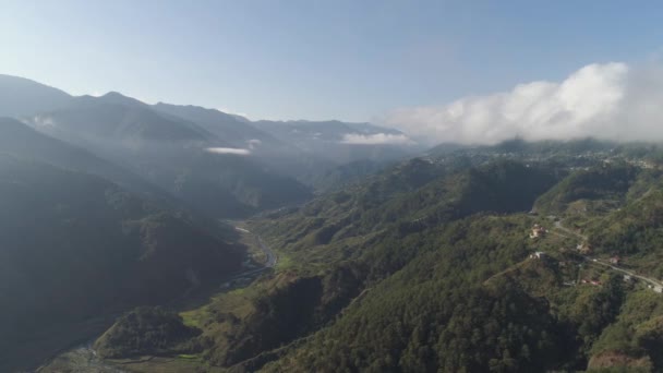 Terrasses de riz dans les montagnes. — Video