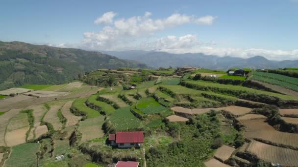 Campos agrícolas en una provincia de montaña Filipinas, Luzón — Vídeo de stock