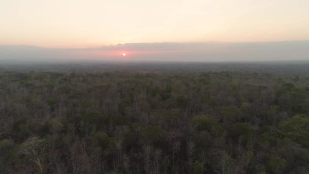 Matahari terbenam di atas sabana — Stok Video