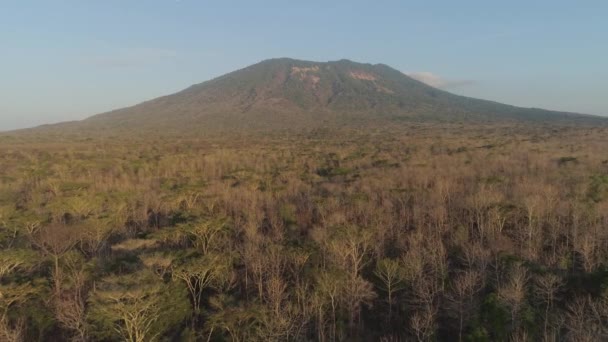 Тропический пейзаж с горной Индонезией. — стоковое видео