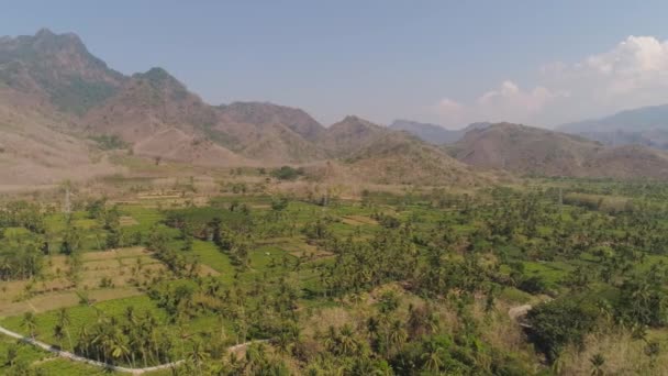 Tierras agrícolas en indonesia — Vídeo de stock