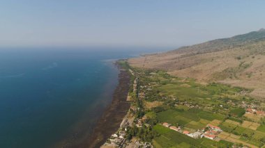 Endonezya 'da tarım arazisi