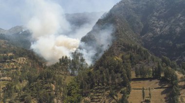 Dağlarda orman yangını
