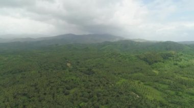 Filipinler 'deki Dağ Bölgesi.