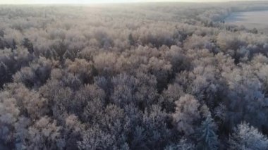 Kırsal kesimde kış manzarası