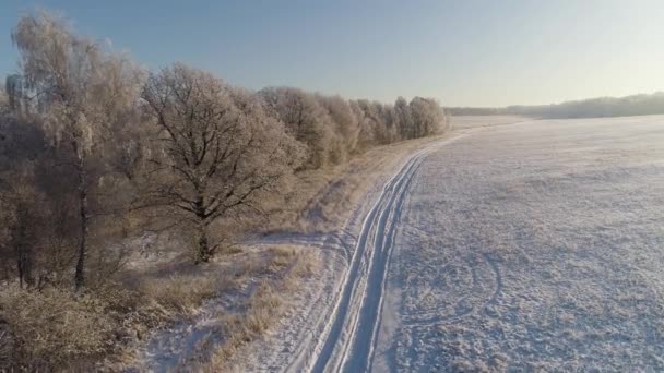 Paisagem de inverno no campo — Vídeo de Stock