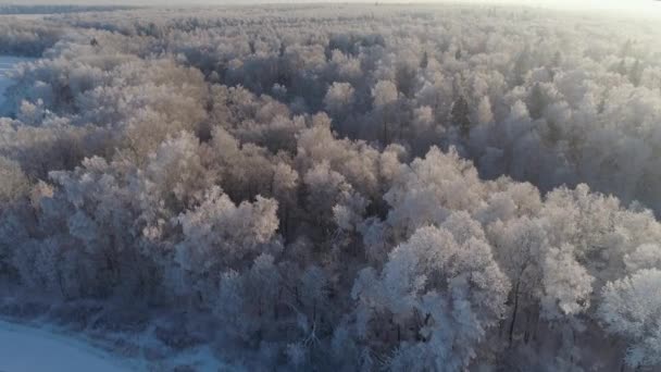 Winterlandschap op het platteland — Stockvideo