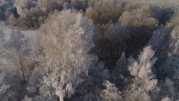 Winterlandschap op het platteland — Stockvideo