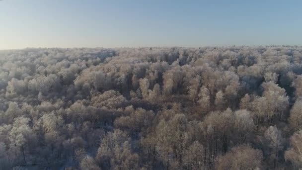 Paisaje invernal en el campo — Vídeo de stock