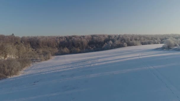 Winter landscape in countryside — Stock Video