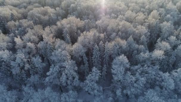Зимний пейзаж в сельской местности — стоковое видео