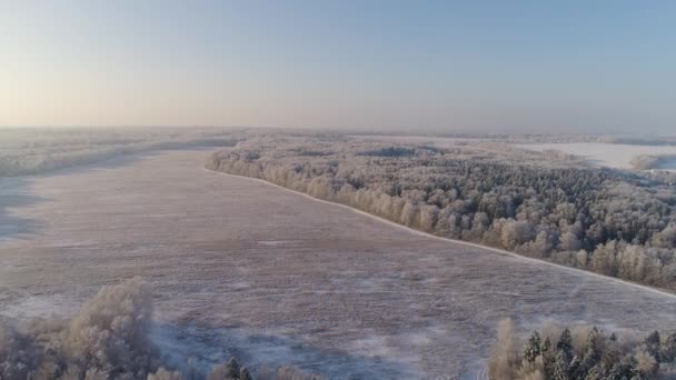 Paesaggio invernale in campagna — Video Stock