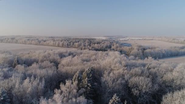 시골의 겨울 풍경 — 비디오
