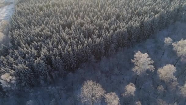 Зимний пейзаж в сельской местности — стоковое видео