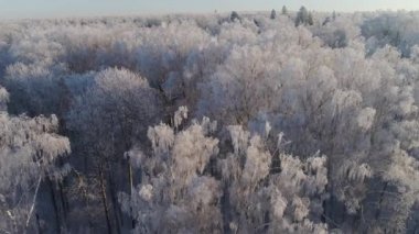 Kırsal kesimde kış manzarası