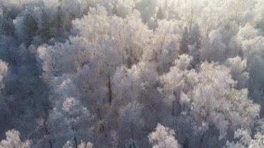 Kırsal kesimde kış manzarası