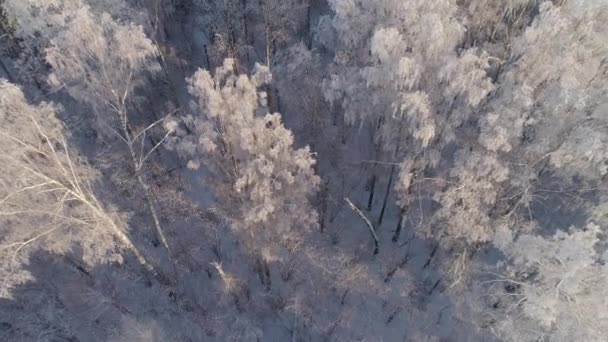 Зимний пейзаж в сельской местности — стоковое видео