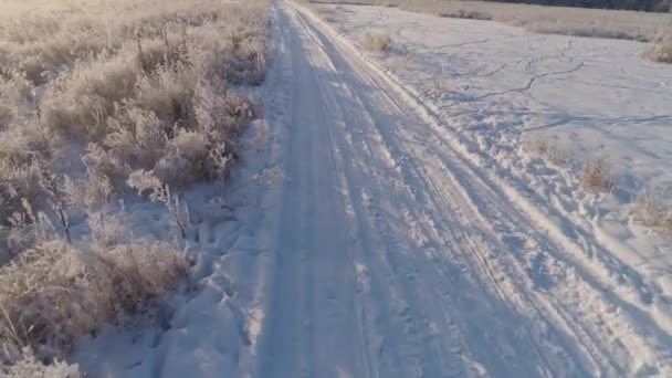 Paisagem de inverno no campo — Vídeo de Stock