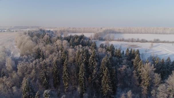 Krajobraz zimowy na wsi — Wideo stockowe