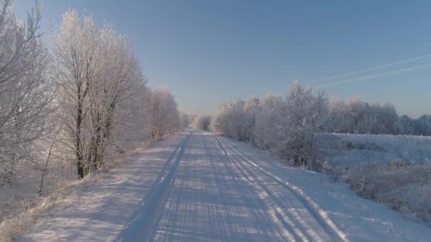 Paisagem de inverno no campo — Vídeo de Stock