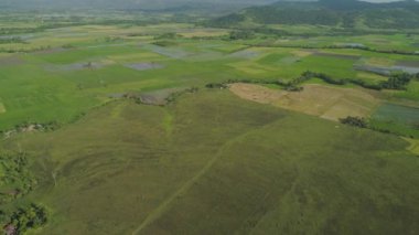 Filipinler 'de tarım arazileri olan dağ vadisi.
