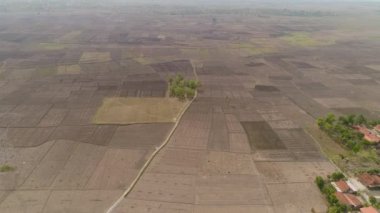 Endonezya 'da tarım arazisi.