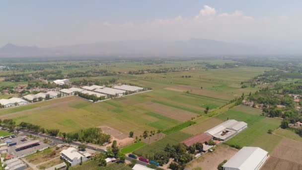 Tierras agrícolas en indonesia — Vídeos de Stock