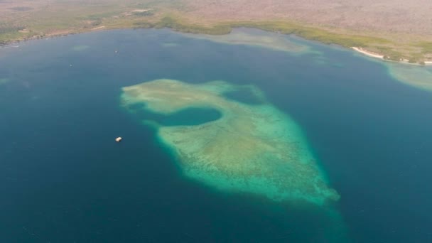 Costa y arrecife de coral — Vídeo de stock