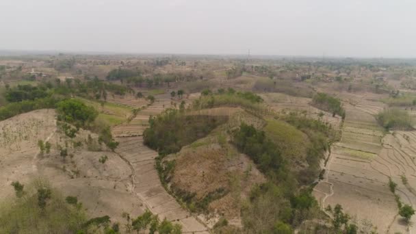 Paesaggio agricolo in indonesia. — Video Stock