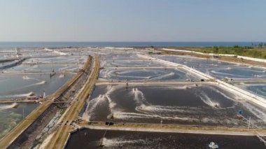 Endonezya 'da karides yetiştiriciliği