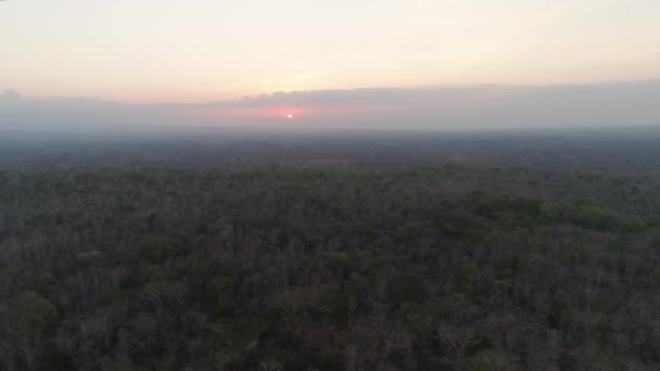 Coucher de soleil sur savane — Video