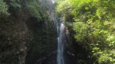 Güzel tropik şelale.