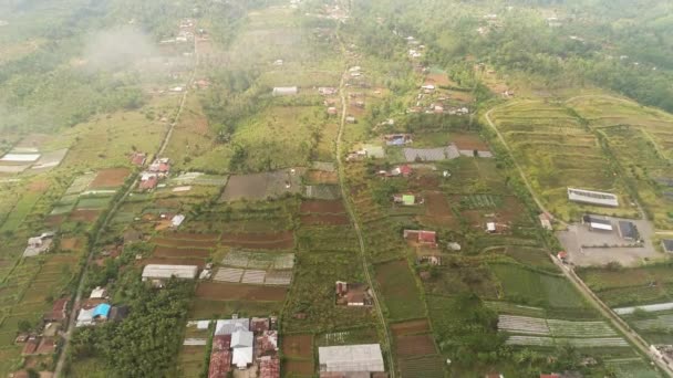 Zemědělská půda v Indonésii — Stock video