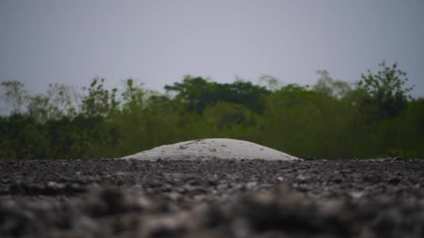 Volcan de boue Bledug Kuwu, Indonésie
