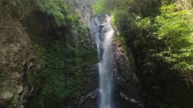 Güzel tropik şelale.