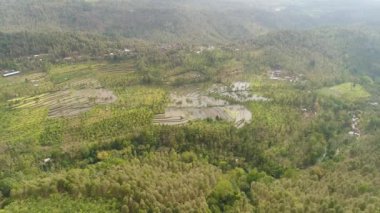 Endonezya 'da tarım arazisi olan tropikal araziler