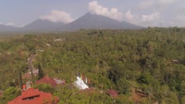 Bali 'deki Budist Tapınağı