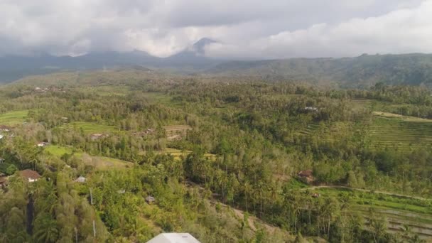 Paisagem tropical com terras agrícolas na indonésia — Vídeo de Stock