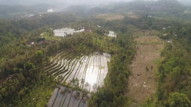 Paesaggio tropicale con terreni agricoli in indonesia — Video Stock
